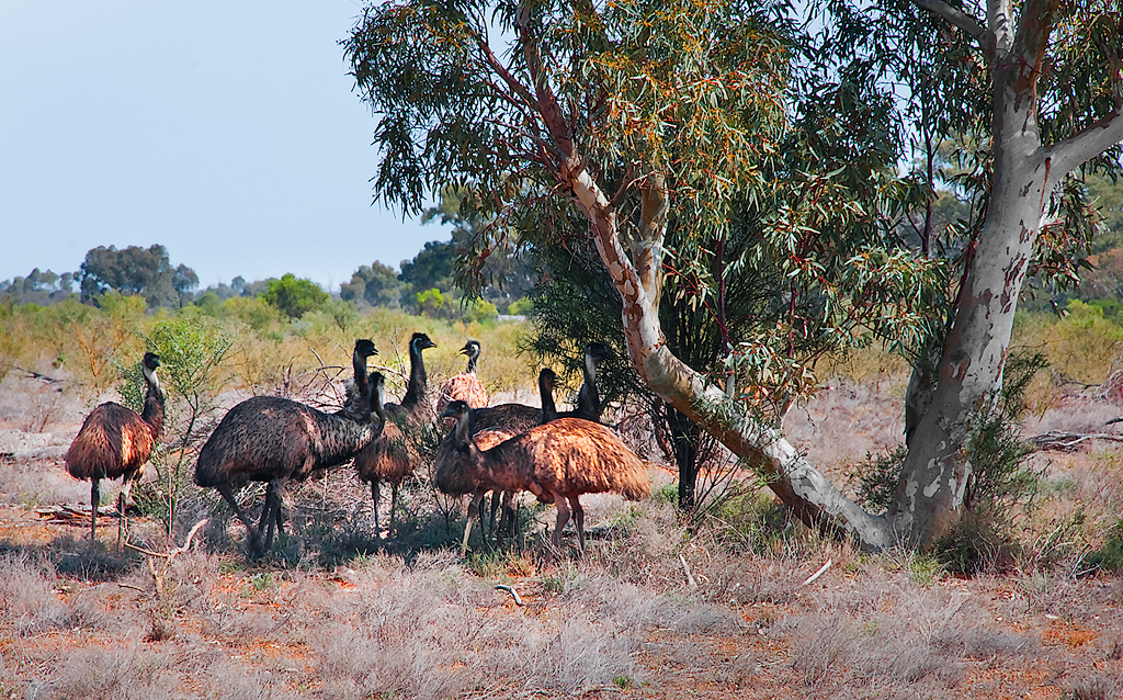 20130908_0909-copyweb