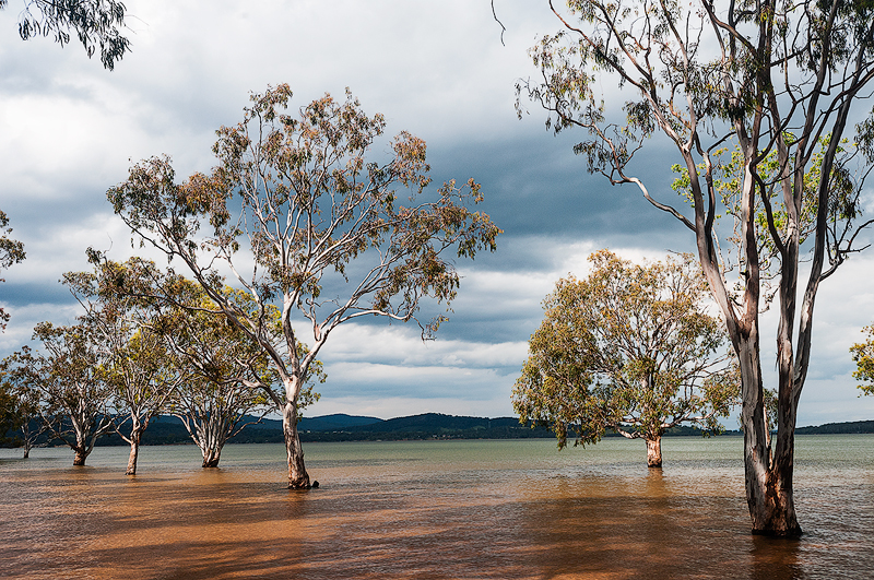 _DSC2261-copy-FINAL-copy-WEB