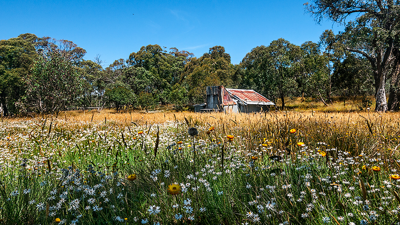 _DSC2290-copy-cropped-orton-lights-copy-web