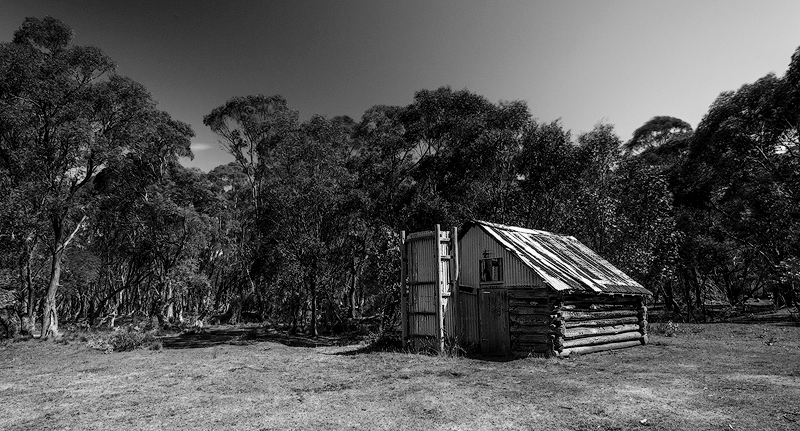 _DSC2312-copy-A-B&amp;W-copy