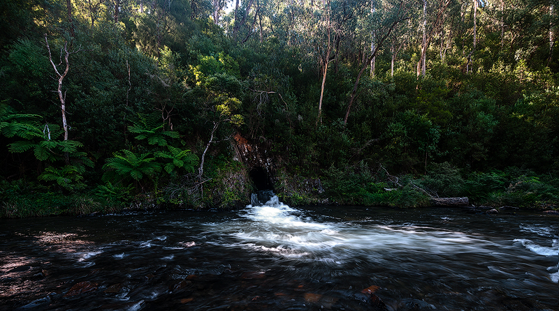 _DSC2324-copy.jpg--WEB