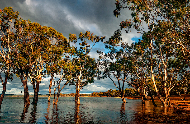 _DSC2622-1-copy.jpg--WEB